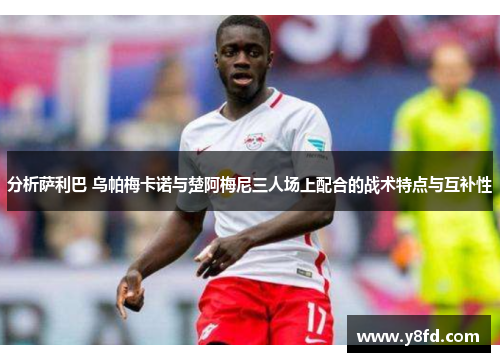 分析萨利巴 乌帕梅卡诺与楚阿梅尼三人场上配合的战术特点与互补性