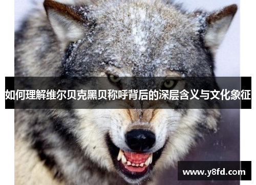 如何理解维尔贝克黑贝称呼背后的深层含义与文化象征